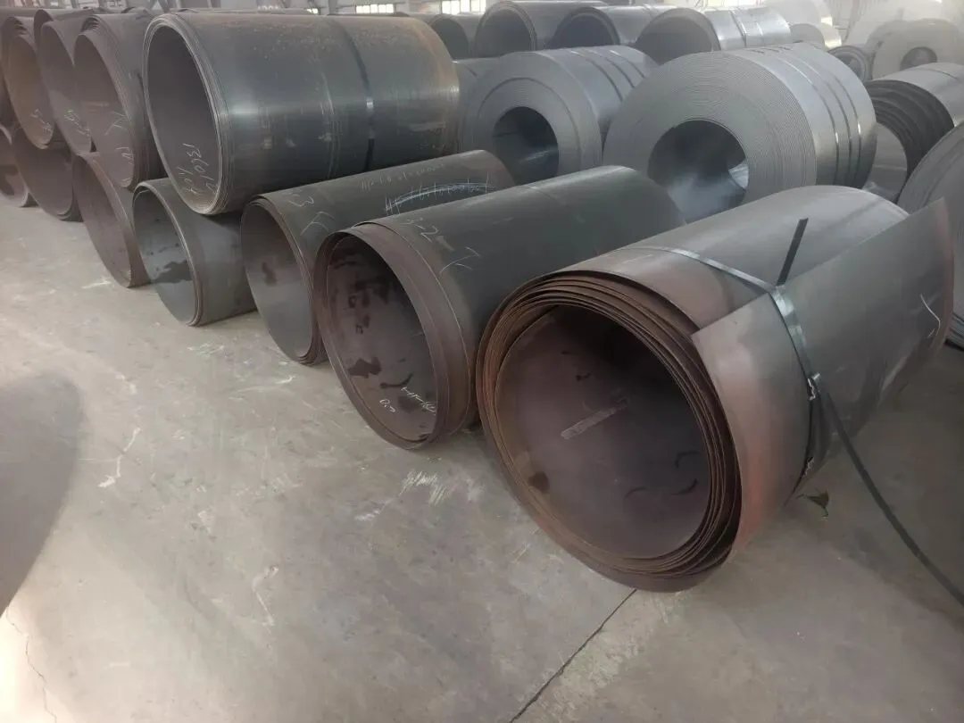 【销售预告】3月20日销售预告