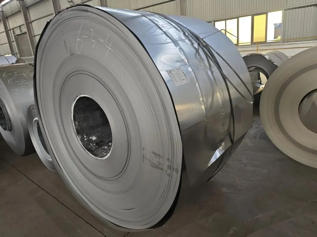 【销售预告】3月20日销售预告