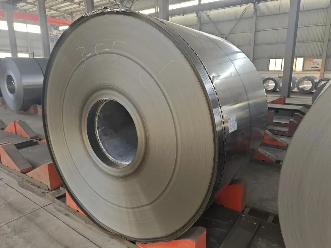 【销售预告】3月20日销售预告