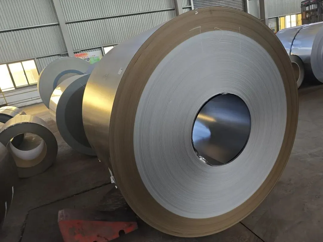 【销售预告】3月20日销售预告