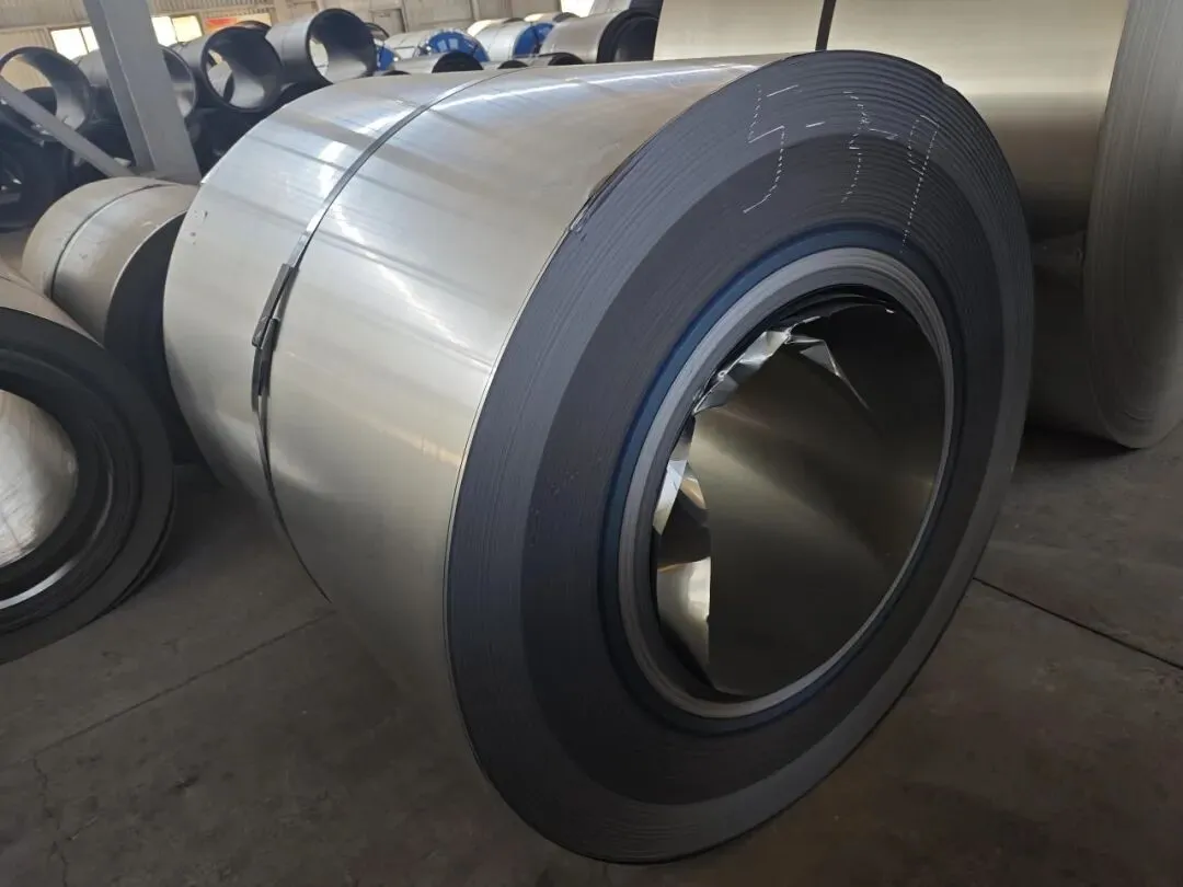 【销售预告】3月20日销售预告