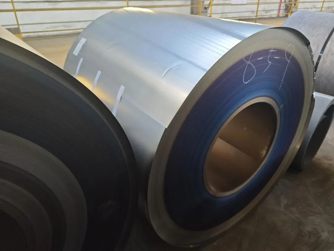 【销售预告】3月20日销售预告