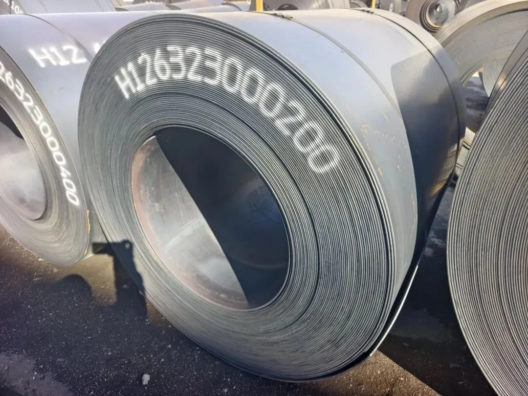 【销售预告】3月20日销售预告