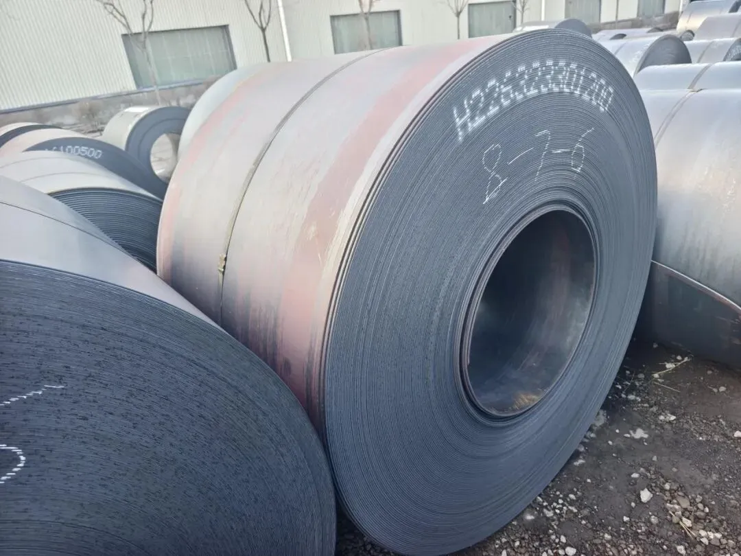 【销售预告】3月20日销售预告