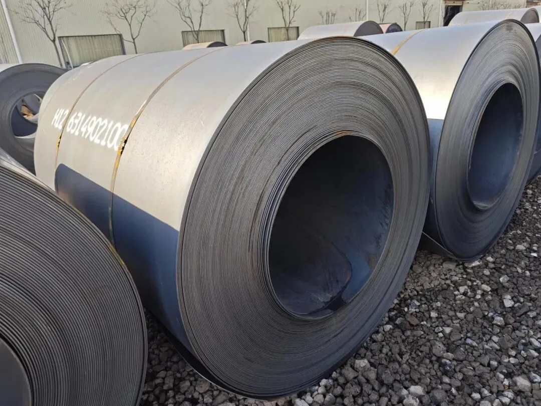 【销售预告】3月20日销售预告