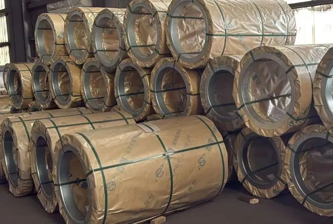 【销售预告】3月20日销售预告