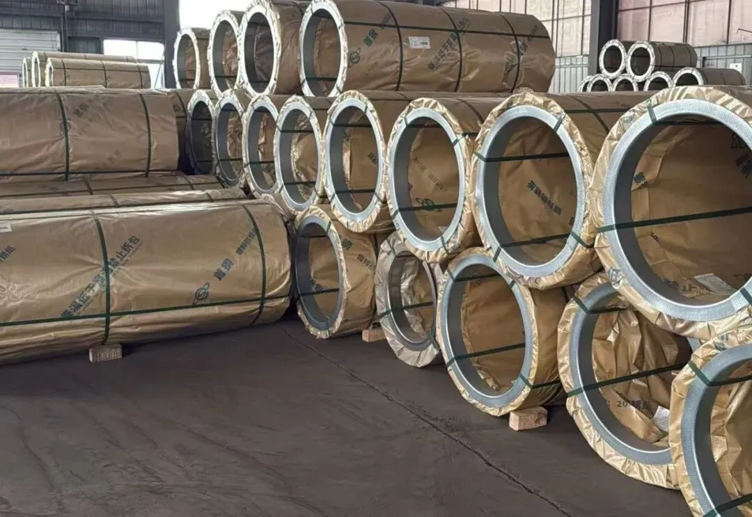 【销售预告】3月20日销售预告