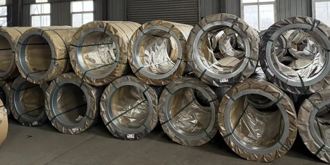 【销售预告】3月20日销售预告