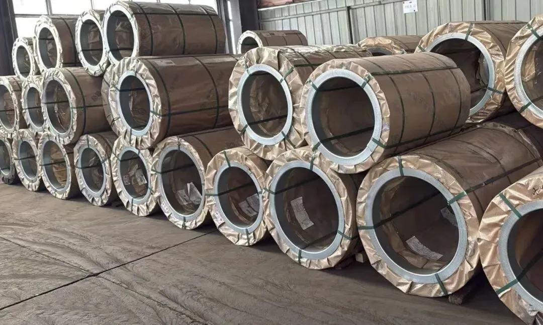 【销售预告】3月20日销售预告