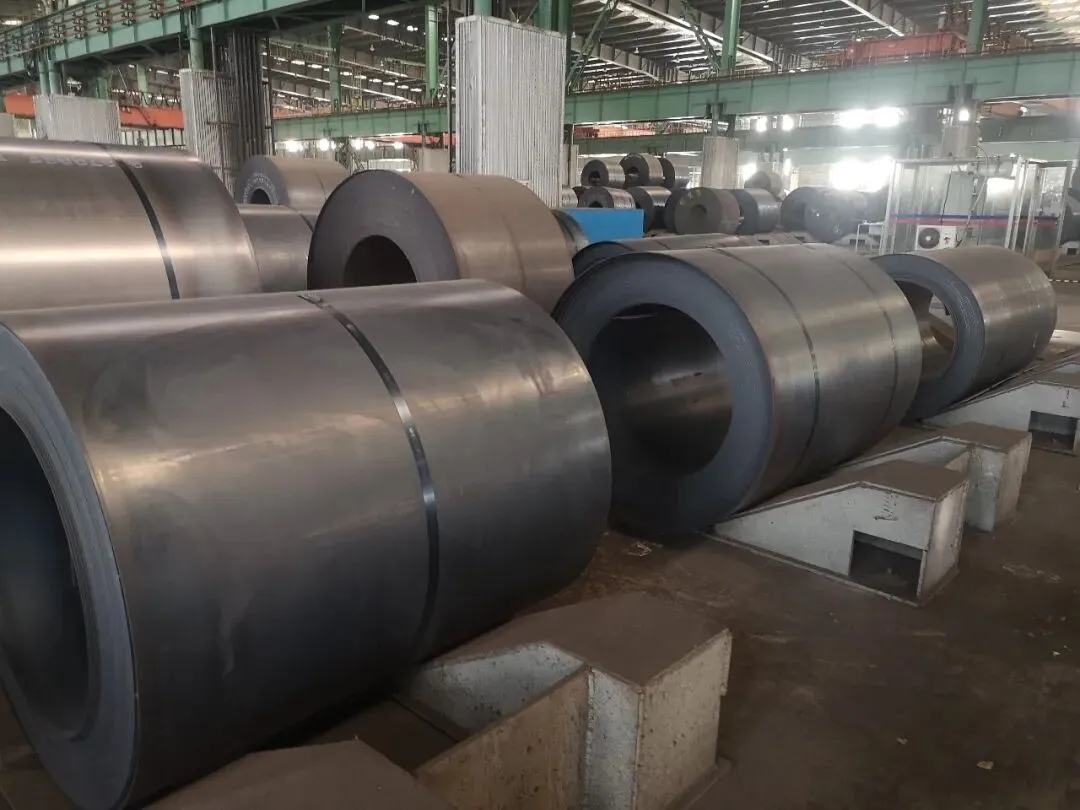 【销售预告】3月20日销售预告