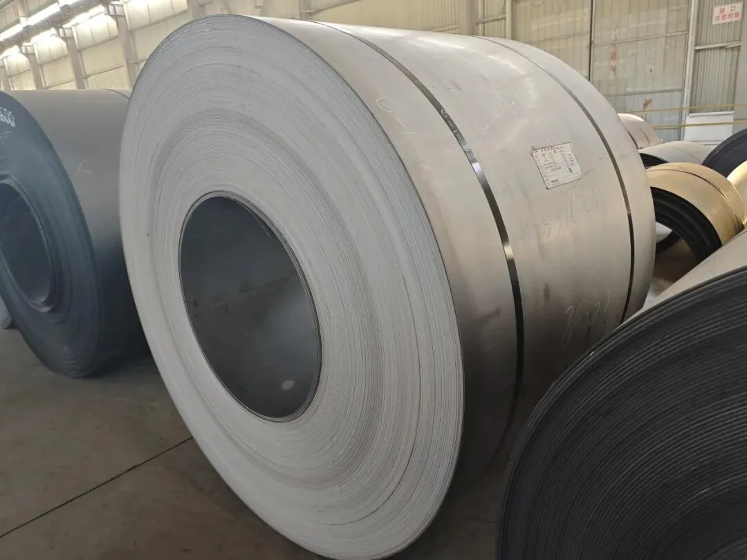 【销售预告】3月20日销售预告