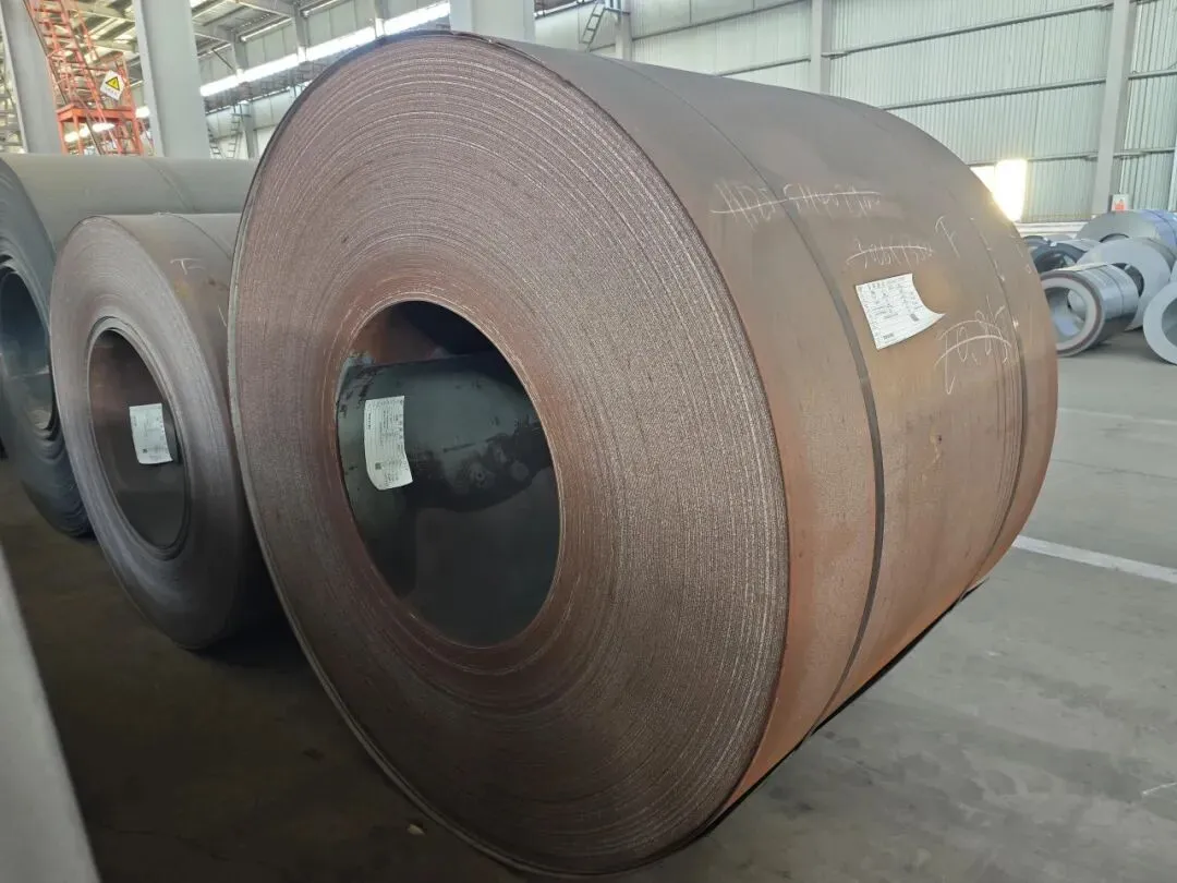 【销售预告】3月20日销售预告