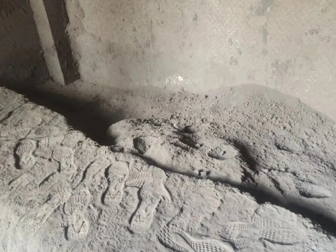 【销售预告】3月20日销售预告