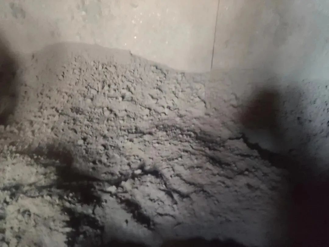 【销售预告】3月20日销售预告