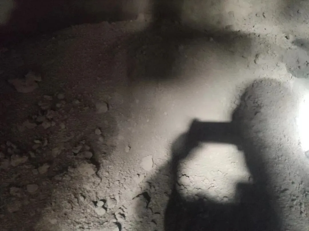 【销售预告】3月20日销售预告