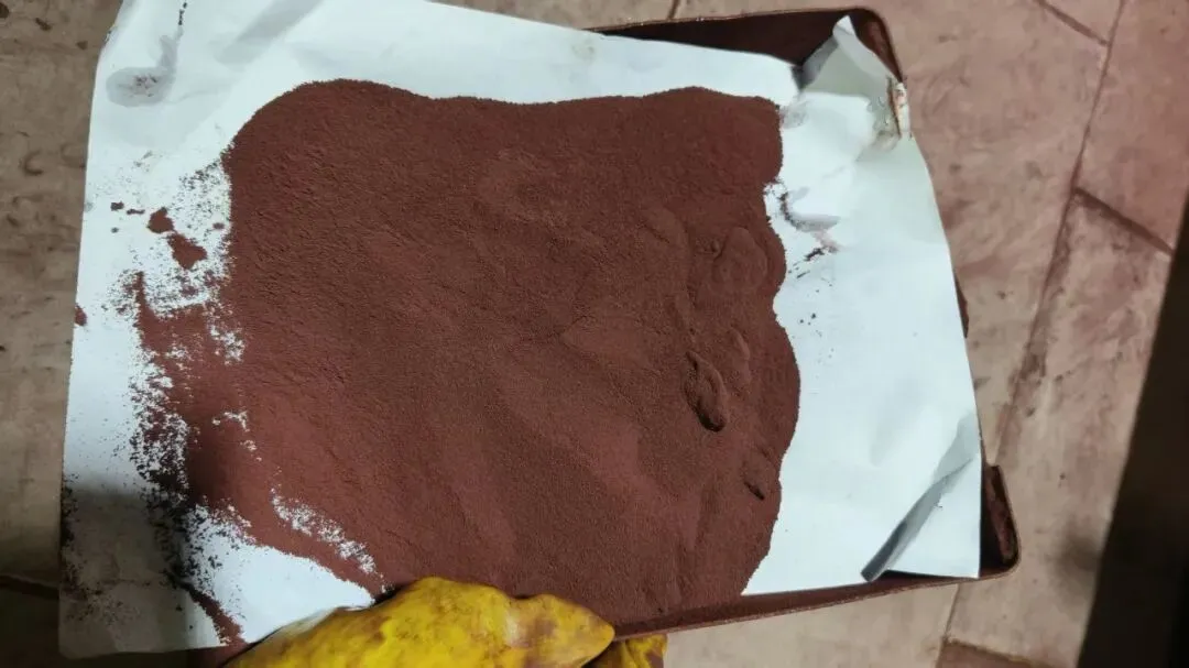 【销售预告】3月20日销售预告