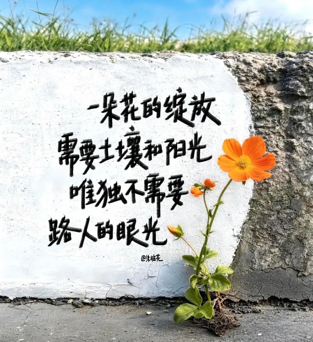 如何看待今天的反弹?近期市场的一些不错方向