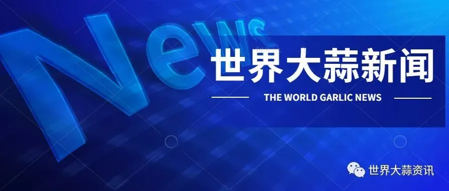 印度:恰布拉市场优质大蒜售价高达每公担10800卢比