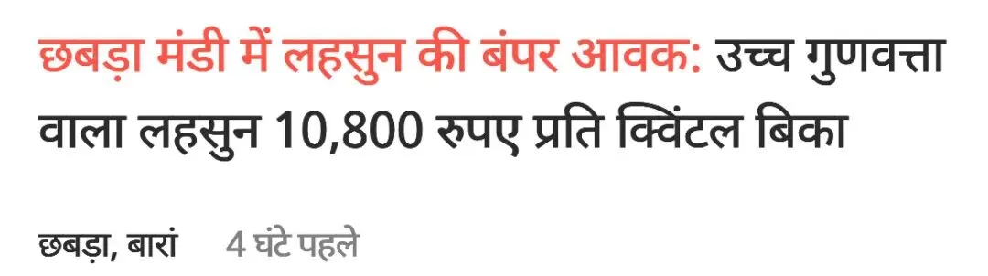 印度:恰布拉市场优质大蒜售价高达每公担10800卢比