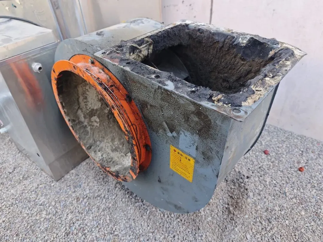 【销售预告】3月20日销售预告