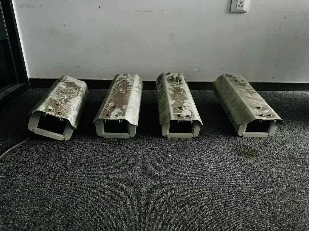 【销售预告】3月20日销售预告