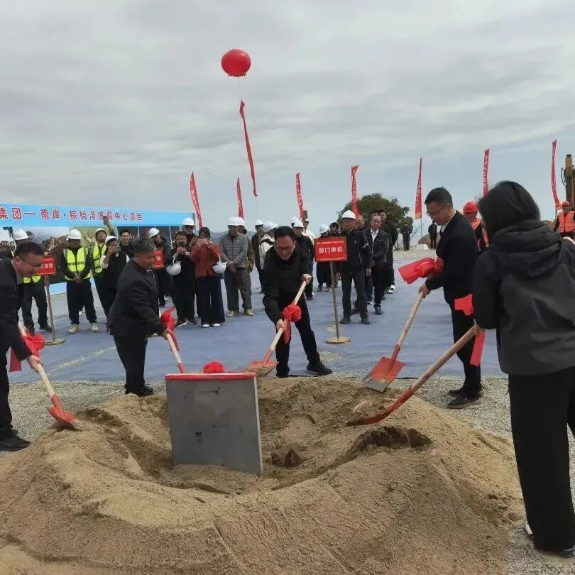 2026年3月17日苍南新房销售报告:市场趋势一览