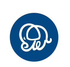 2026年ESG债券市场运行2月报