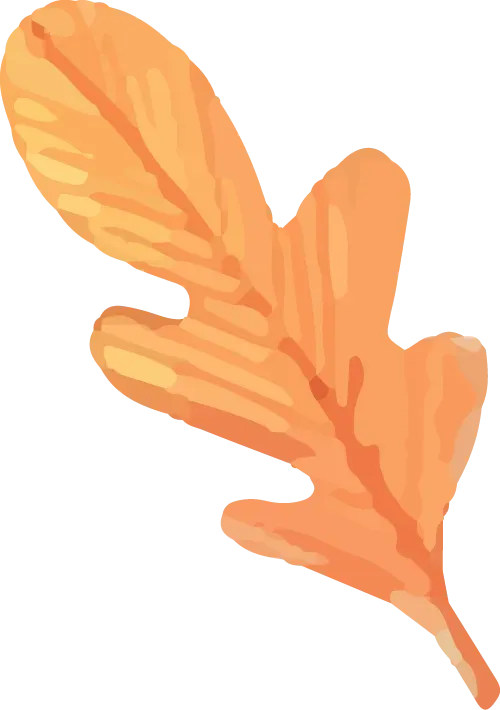 阿左旗市场监管局重拳出击排查医美外泌体乱象,筑牢医美消费安全防线