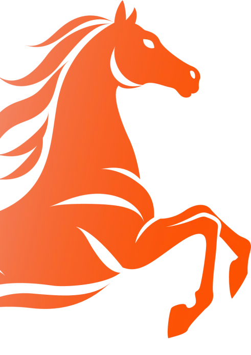 榜样力量丨李慧:“三字诀”跑出营销“加速度”