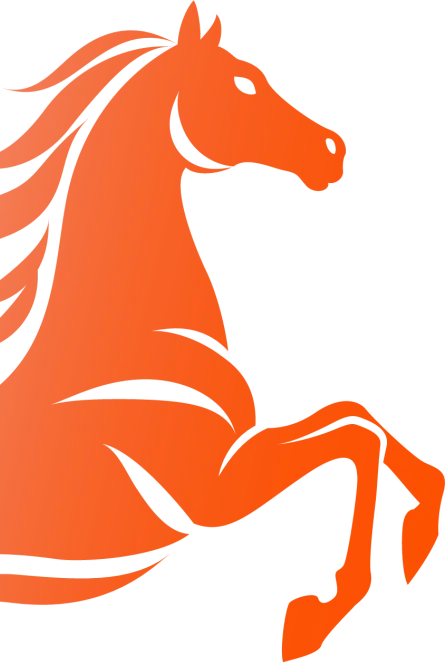 榜样力量丨李慧:“三字诀”跑出营销“加速度”