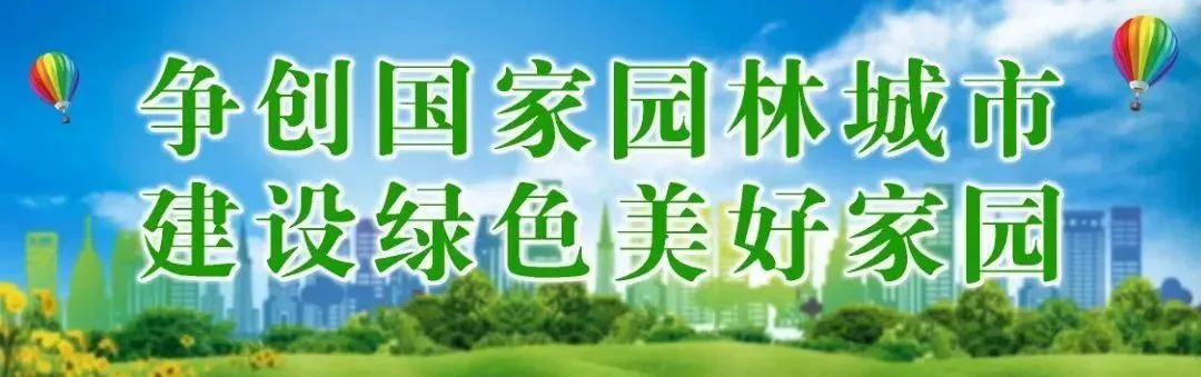 问政磁县|服务窗口管理、市场服务……磁县行政审批局直面问政