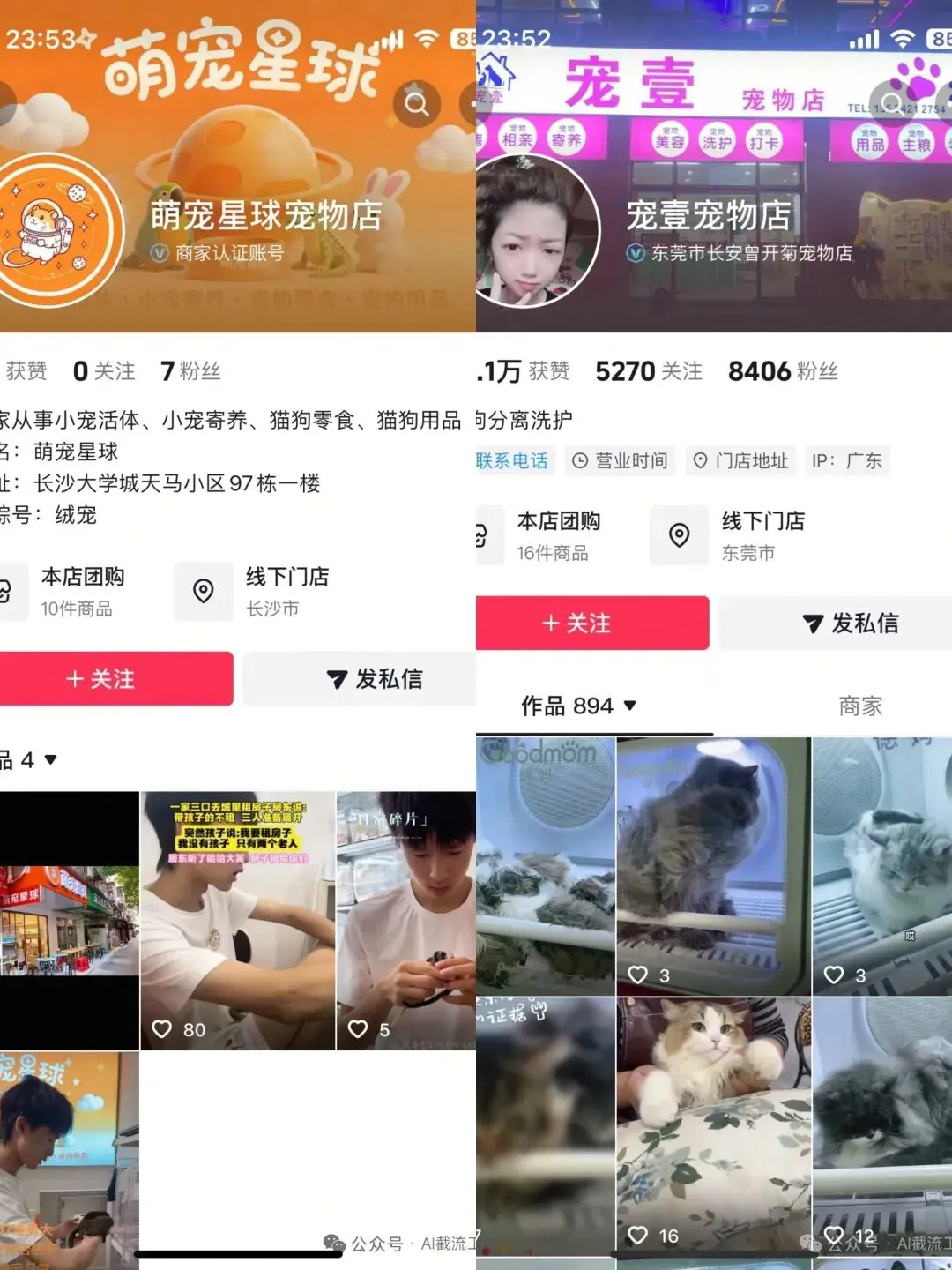 宠物行业抖音精准截流获客全攻略:从对标选号到私域闭环,低成本撬动精准客源 暴力