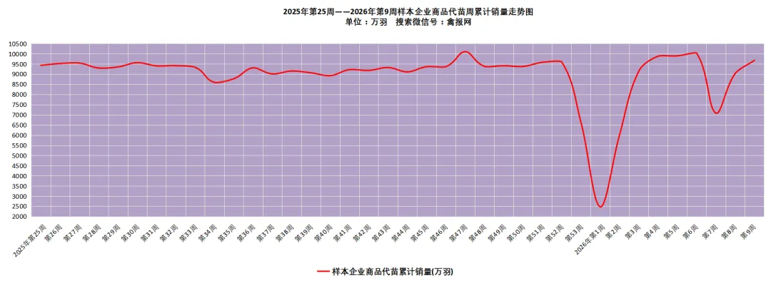 鸡报•3-19\\毛鸡遭逆转下跌,市场情绪有所恶化,冻品短期提振动力再度衰减!