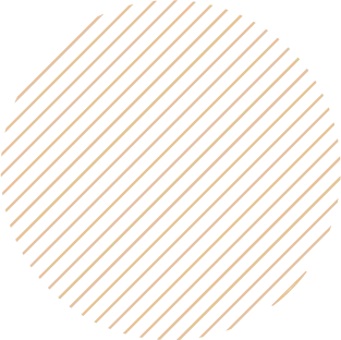 【工作动态】弘扬诚信经营理念 共建和谐市场环境丨陵水县司法局新村司法所开展诚信文化宣传活动