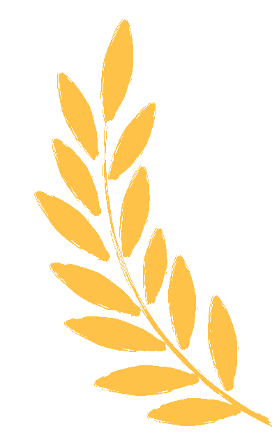 望夫中学开展第七届跳蚤市场暨学雷锋义卖活动