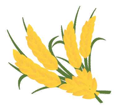 望夫中学开展第七届跳蚤市场暨学雷锋义卖活动