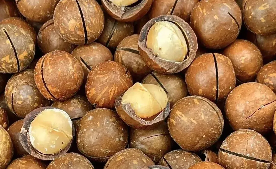 被夏威夷果的 “奶香营销” 骗了十几年,真教科书级操作