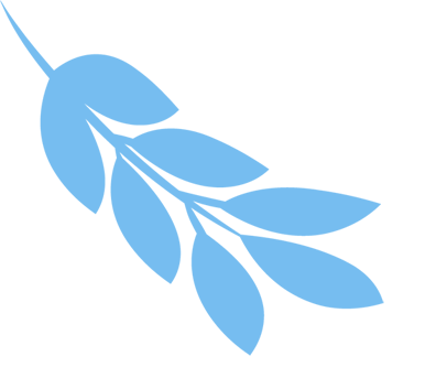 招生启动|经济管理系直播营销与数字化转化微专业,助力数字新未来