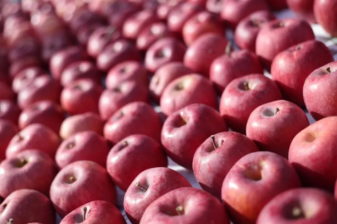 两个月亏了十几万,看懂苹果市场最残酷的真相