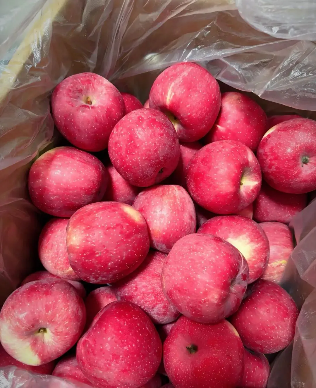 两个月亏了十几万,看懂苹果市场最残酷的真相