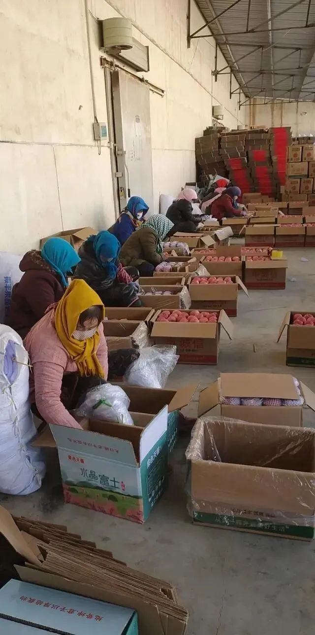 两个月亏了十几万,看懂苹果市场最残酷的真相