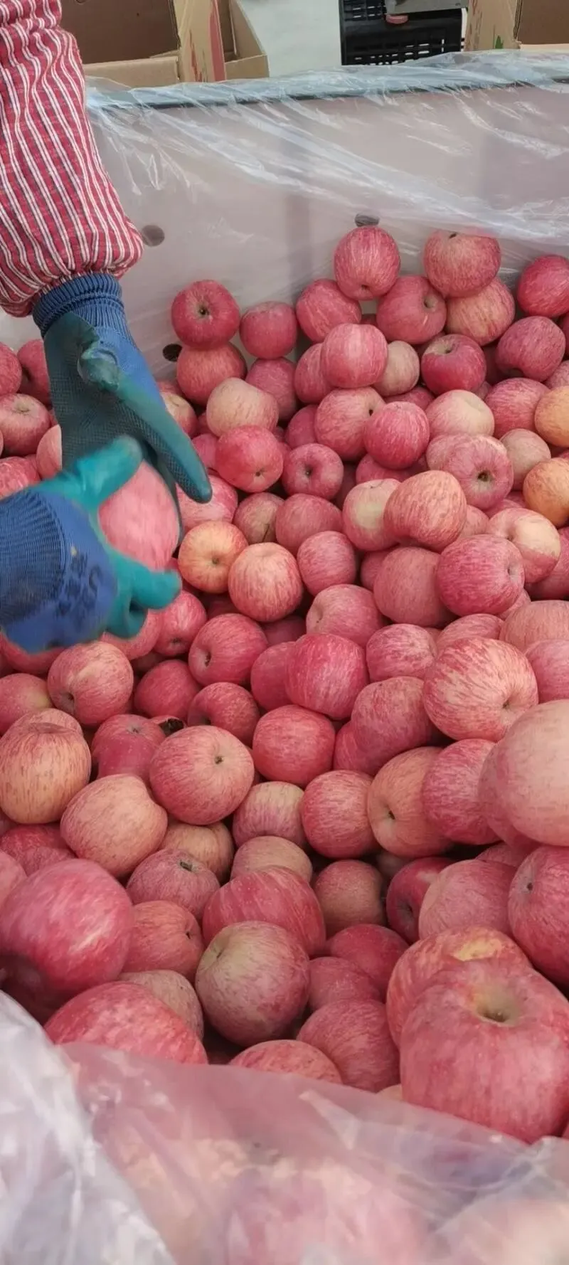 两个月亏了十几万,看懂苹果市场最残酷的真相