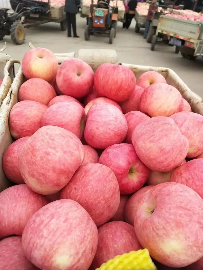 两个月亏了十几万,看懂苹果市场最残酷的真相