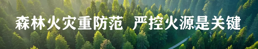 向新发展看沁源·新春开新局|零工市场搭平台 精准服务促就业