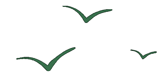 葛洪品牌营销中心【独家批文·龙心控销】贵州省招募合作伙伴!