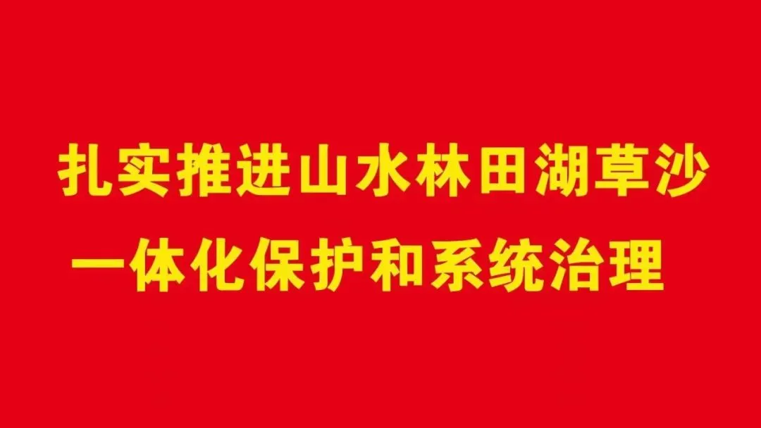鄂托克旗市场监督管理局派驻纪检监察组组长张继飞督导检查乌兰镇农资秩序