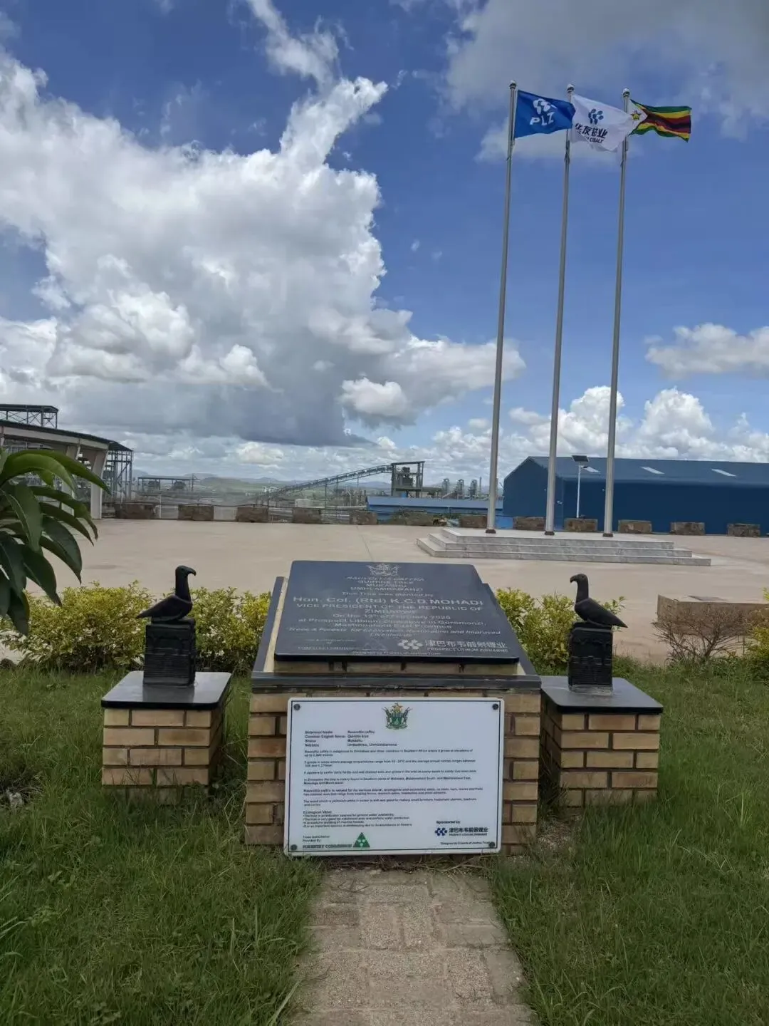 碳酸锂系列 (27)|如何理解乘用车市场数据?数据“假摔”