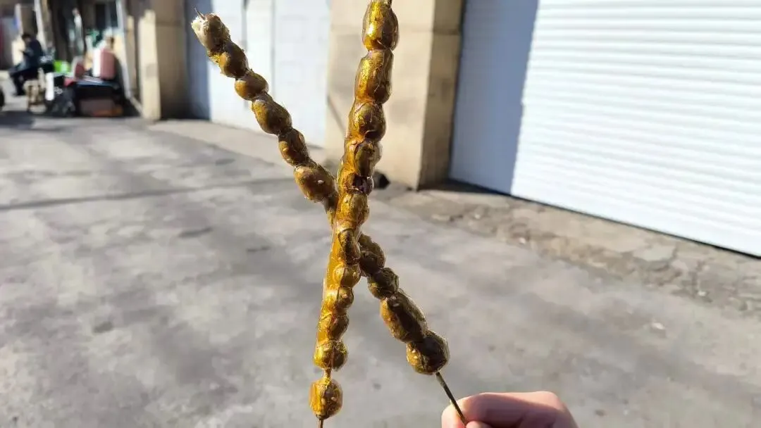 26年寒假大东北之旅-day9古玩市场和工业博物馆再加上再见东北