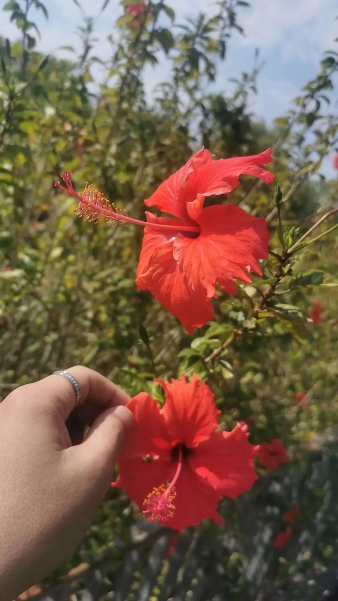 叶军师—珠江新城5大能量池与万象营销系统!