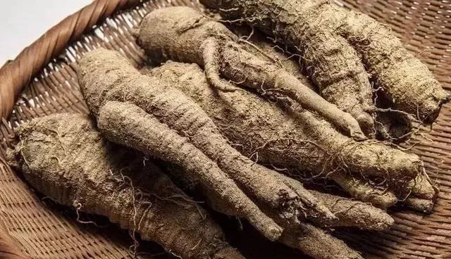 明年想种植中药材.试试以下几种.市场常年需求稳定.亩收入3-5